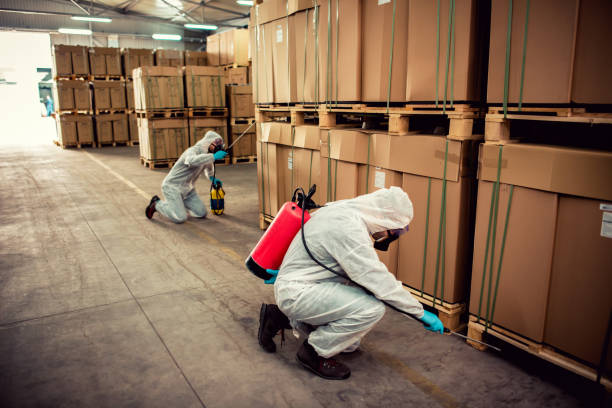 Best Cockroach Control Services  in Anchorage, KY