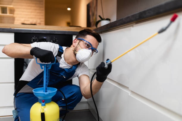 Best Termite Control Services  in Anchorage, KY