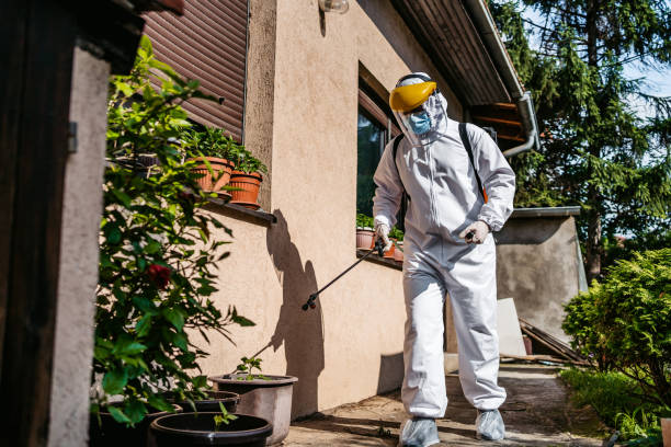 Best Pest Prevention Services  in Anchorage, KY