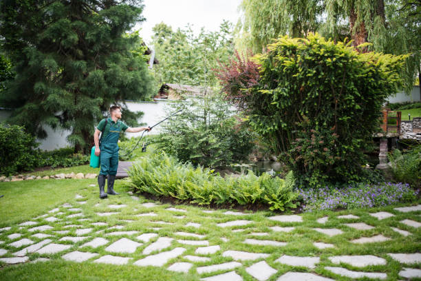 Best Wasp Removal Services  in Anchorage, KY