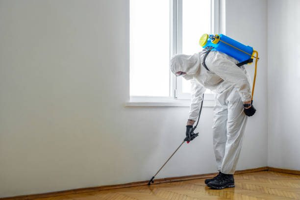 Best Affordable Pest Control Services  in Anchorage, KY