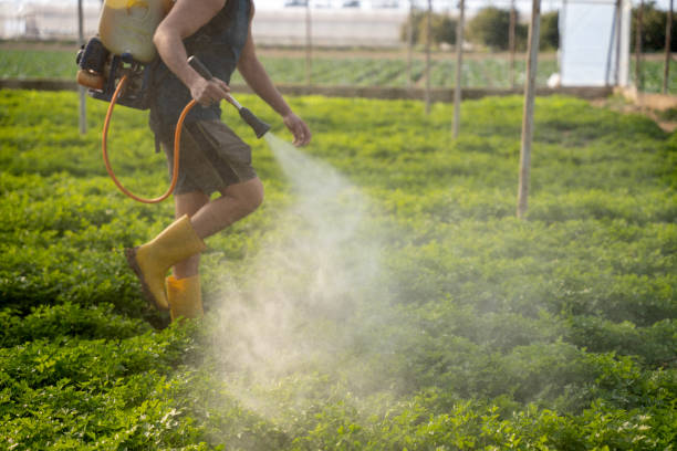 Best Affordable Pest Control Services  in Anchorage, KY