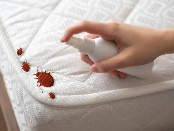 Best Pest Inspection Near Me  in Anchorage, KY