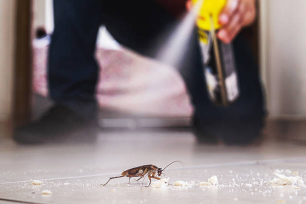 Trusted Anchorage, KY Pest Control Experts