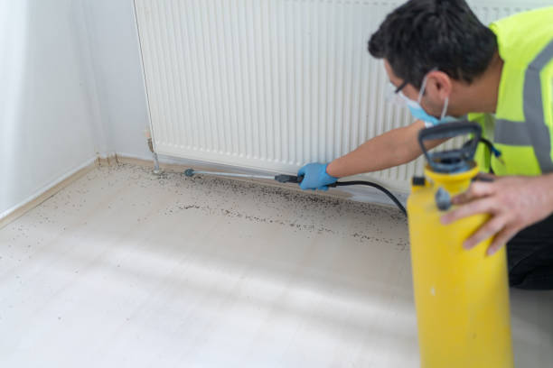 Best Pest Removal Services  in Anchorage, KY