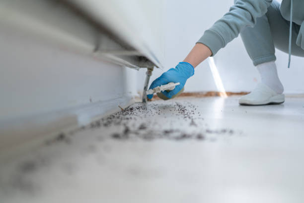  Anchorage, KY Pest Control Pros