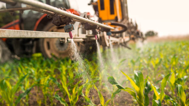 Best Ant Control Services  in Anchorage, KY